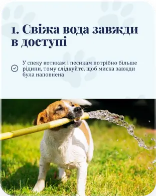 Pan Zoo — галерея 12
