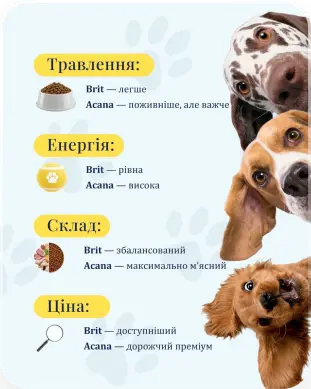 Pan Zoo — галерея 14